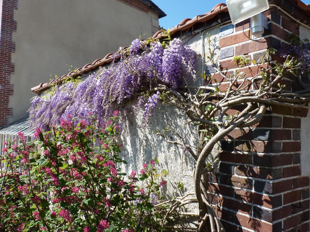 Le Clos Saint Nicolas Acomodação com café da manhã Château-Renard Exterior foto